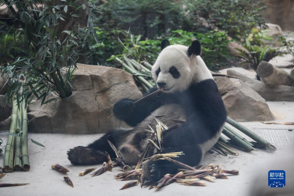 捕鱼大亨网页游戏